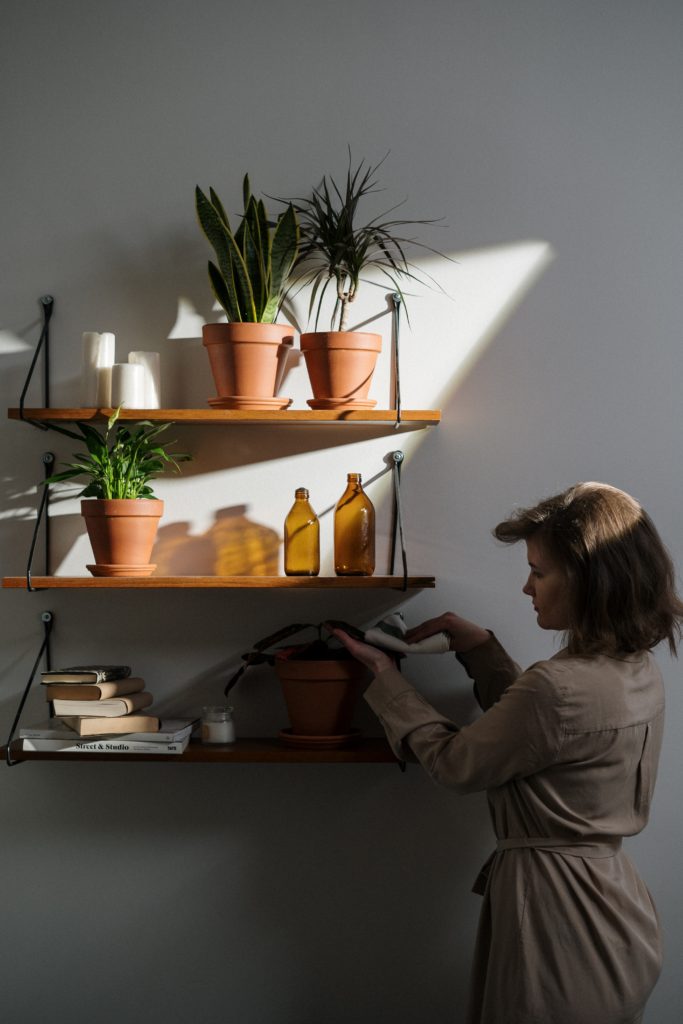 plantas dentro de casa