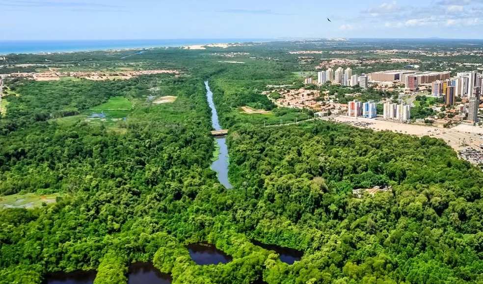 Parque do Cocó